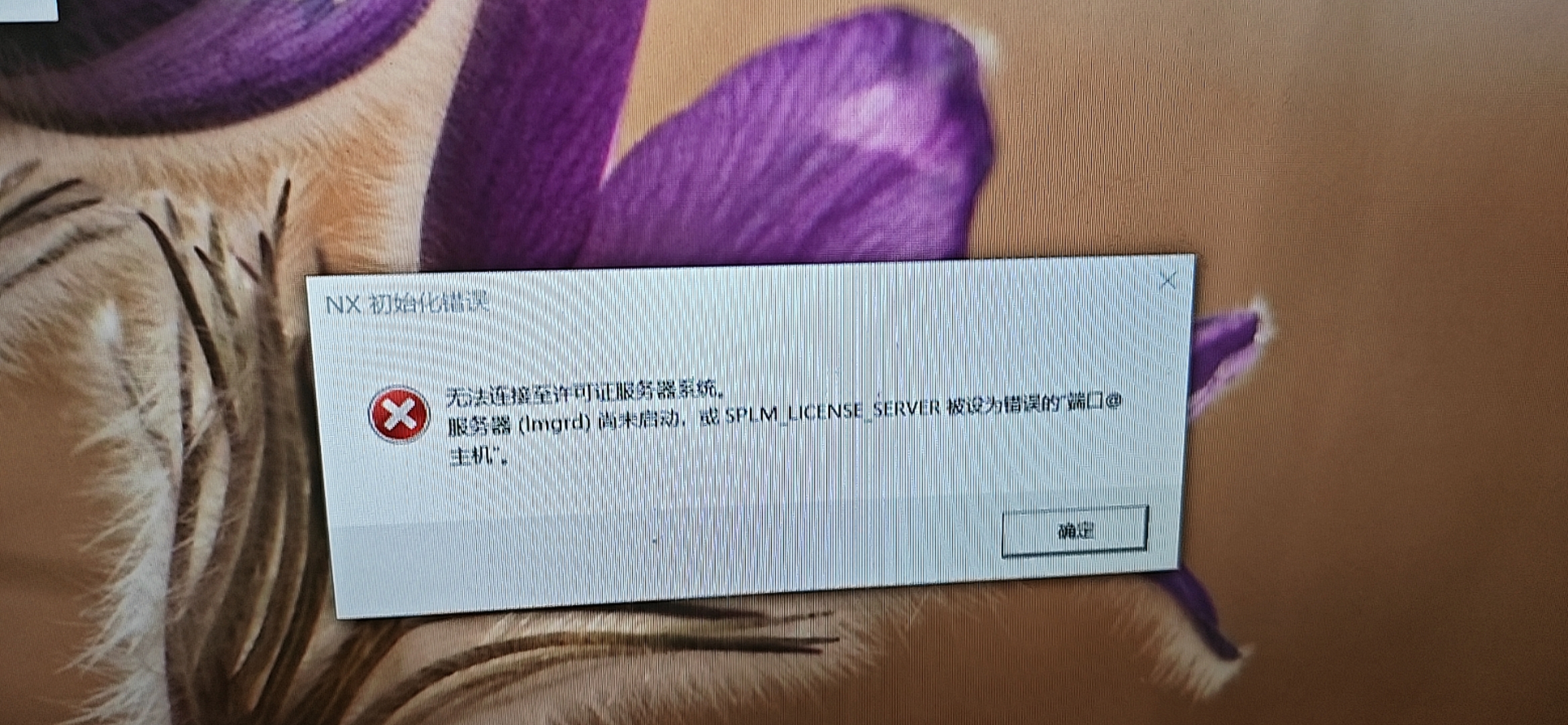 许可证安装报警